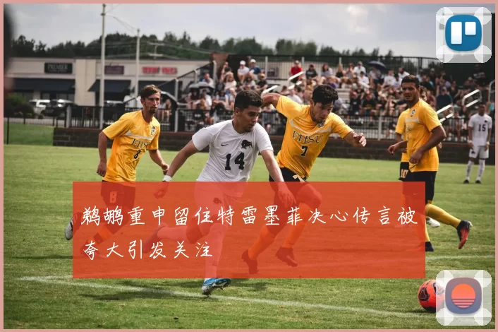 鹈鹕重申留住特雷墨菲决心传言被夸大引发关注