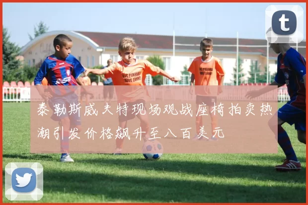 泰勒斯威夫特现场观战座椅拍卖热潮引发价格飙升至八百美元